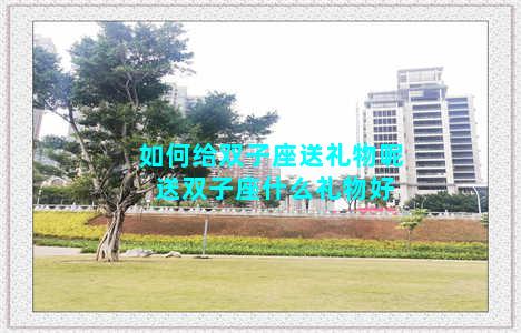 如何给双子座送礼物呢 送双子座什么礼物好